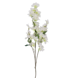 Rama decorativa de floración ligera
