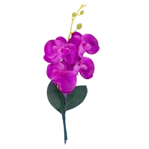 Orquídeas
