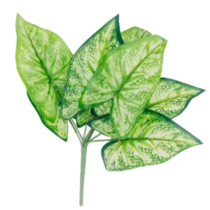 FL532 | Follaje decorativo verde claro de hojas acorazonadas veteadas