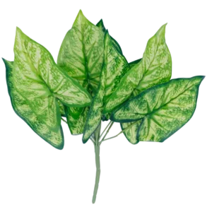 FL533 | Follaje decorativo verde claro de hojas veteadas