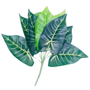 FL534 | Follaje decorativo verde de hojas amplias veteadas