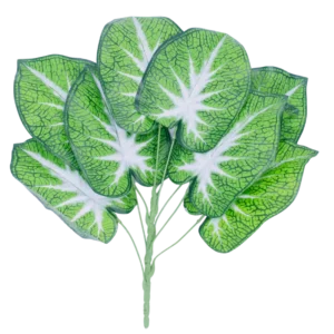 FL592 | Follaje decorativo verde de hojas acorazonadas veteadas