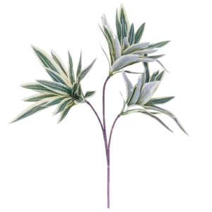 FL648 | Follaje decorativo blanco y verde de hojas estilizadas