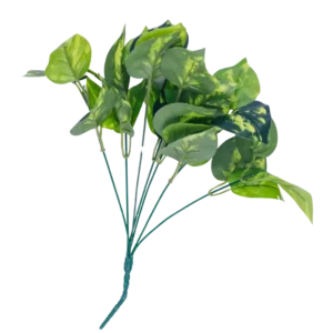 FL673 | Follaje decorativo verde veteado de hojas redondeadas