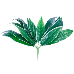 FL779 | Follaje decorativo verde de hojas grandes abiertas