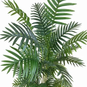 Plantas Altas